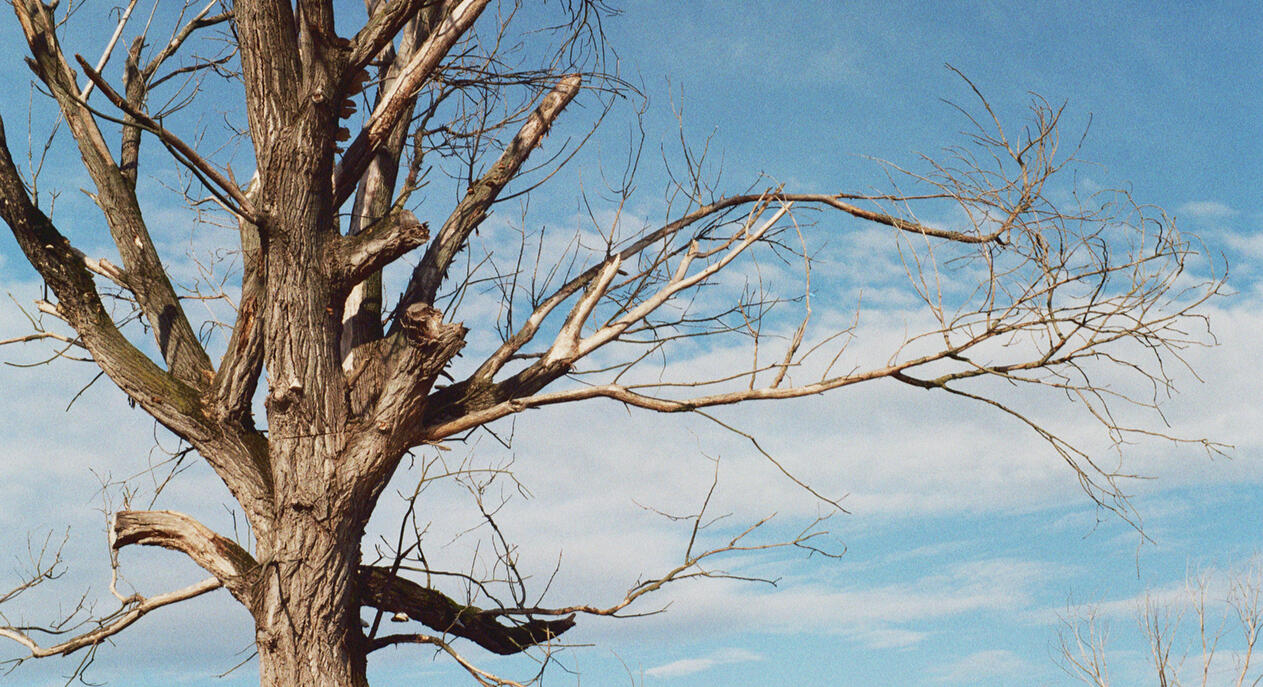 Untitled Untitled
