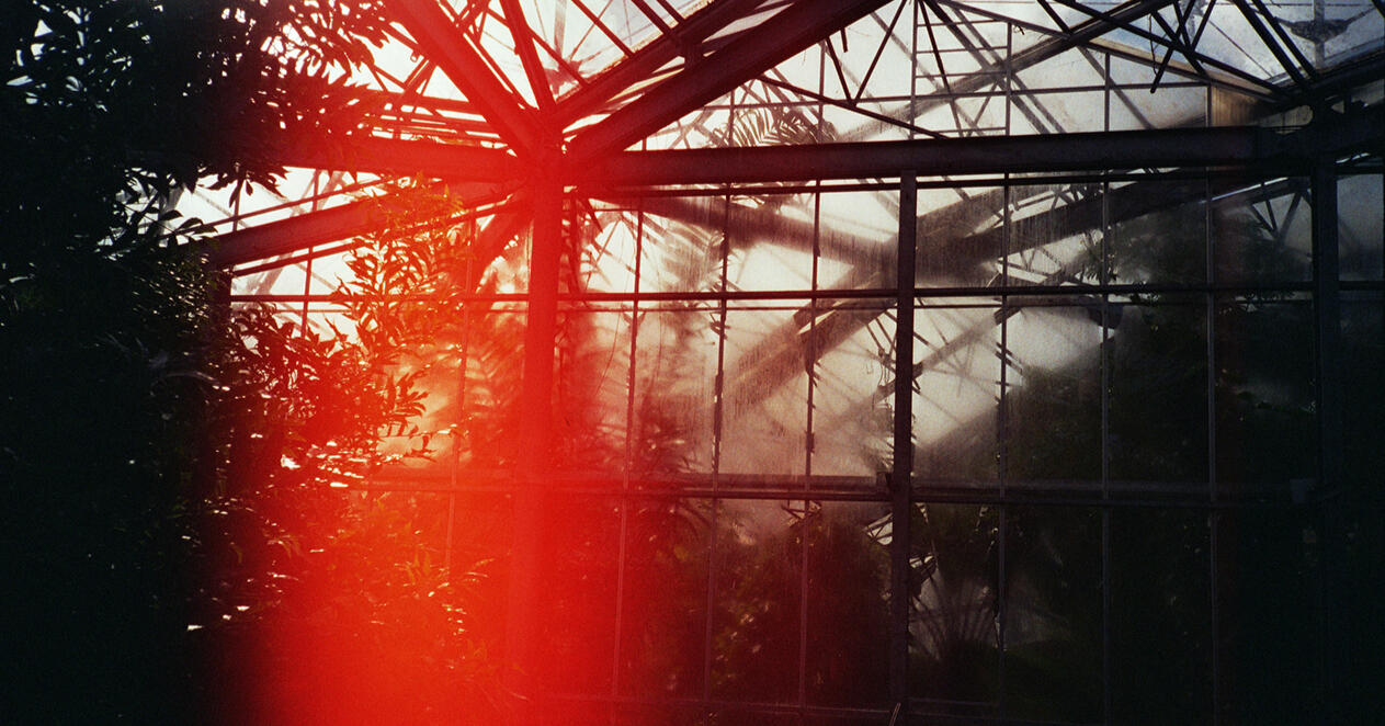 Untitled Untitled